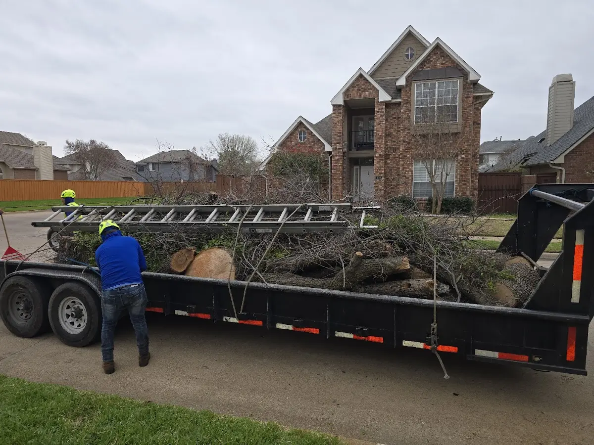 Expert Tree Pest Control with proper safety equipment in Schuyler